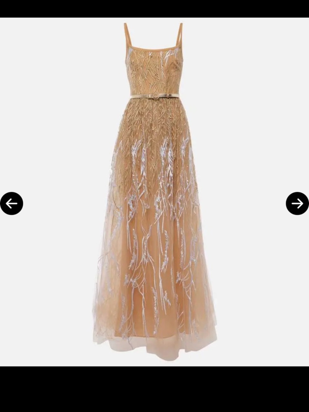 Elie Saab Arboreal Embroidered Gown